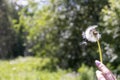 Happy beautiful woman blowing dandelion over sky background, having fun and playing outdoor, teen girl enjoying nature Royalty Free Stock Photo