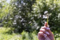 Happy beautiful woman blowing dandelion over sky background, having fun and playing outdoor, teen girl enjoying nature Royalty Free Stock Photo