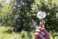 Happy beautiful woman blowing dandelion over sky background, having fun and playing outdoor, teen girl enjoying nature Royalty Free Stock Photo