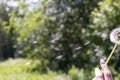 Happy beautiful woman blowing dandelion over sky background, having fun and playing outdoor, teen girl enjoying nature, summer Royalty Free Stock Photo