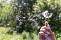 Happy beautiful woman blowing dandelion over sky background, having fun and playing outdoor, teen girl enjoying nature Royalty Free Stock Photo