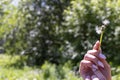 Happy beautiful woman blowing dandelion over sky background, having fun and playing outdoor, teen girl enjoying nature, summer Royalty Free Stock Photo