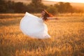 Happy beautiful young bride outside on a summer meadow at the sunset Royalty Free Stock Photo