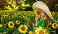 A happy, beautiful young girl in a straw big hat is standing in a large field of sunflowers. Beautiful woman posing in a field of Royalty Free Stock Photo