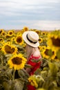 A happy, beautiful young girl in a white hat is standing in a large field of sunflowers. Back view Royalty Free Stock Photo