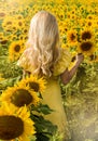 A happy, beautiful young girl in a yellow dress is standing in a large field of sunflowers. Summer time. Back view Royalty Free Stock Photo