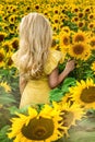 A happy, beautiful young girl in a yellow dress is standing in a large field of sunflowers. Summer time. Royalty Free Stock Photo