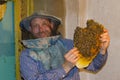 Happy beekeeper with honeycombs. The beekeeper collects a swarm Royalty Free Stock Photo