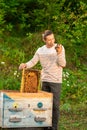 Happy beekeeper spends time in apiary. He holds a honeycomb full of bees. One hand is all in the bees Royalty Free Stock Photo