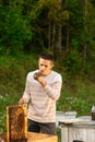 Happy beekeeper spends time in apiary. He holds a honeycomb full of bees. One hand is all in the bees Royalty Free Stock Photo