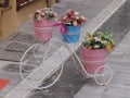 Bicycle and flowers Royalty Free Stock Photo