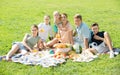 happy big family having picnic on green lawn in park Royalty Free Stock Photo