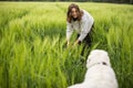 Happy big white sheepdog walking on green rye field