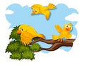 Happy bird flying in nature Royalty Free Stock Photo