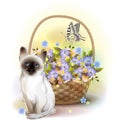 Happy birday card. Siamese kitten, butterfly and basket with violets.