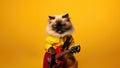 Happy Birman Cat Dressed As A Rockstar On Dark Yellow Colour Background