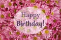 Happy Birthday! Beautiful chrysanthemum flowers as background