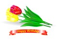 Happy Birthday. A bouquet of three red and yellow tulips with a golden ribbon and a birthday greeting. Royalty Free Stock Photo