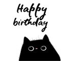 Happy birthday card with black cat Royalty Free Stock Photo