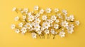 Flat lay greeting card with beautiful little white flowers on bright yellow paper background Royalty Free Stock Photo