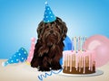 Happy birthday card with funny dog, cake, colorful balloons. Vector illustration Royalty Free Stock Photo