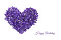 Happy birthday card. Heart shape flowers. Violets love symbol isolated on white background. Template for greeting card Royalty Free Stock Photo