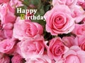 Happy Birthday card on pink roses background. Birthday backgrounds. Birthday flowers. Royalty Free Stock Photo