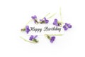 Happy Birthday Card with Violets