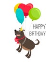 Happy birthday dog card Royalty Free Stock Photo