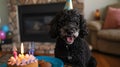 happy birthday dog. Happy cute dog wearing a party hat celebrating at a birthday party AI Generative