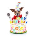 Happy birthday dog Royalty Free Stock Photo