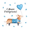 Happy Birthday greeting card with calligraphy in Russian language text translation: `Happy Birthday!` and cute cheerful Welsh Co Royalty Free Stock Photo