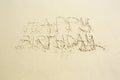 Happy birthday hand written message on wet beach sand Royalty Free Stock Photo