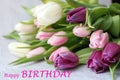 Happy birthday inscription and bunch of tulip, bouquet of flowers for greeting card Royalty Free Stock Photo