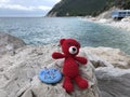 Happy Birthday message on a stone with a red wool bear