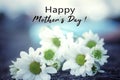 Happy birthday Mothers Day card with bouquet of white daisy flowers. Mothers Day concept with floral background. Royalty Free Stock Photo