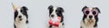 Happy Birthday party banner. Three puppy dog border collie wearing birthday hat silly eyeglasses holding gift box in