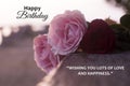 Happy Birthday. Wishing you lots of love and happiness. Birthday card and greeting with soft bouquet of pink roses background. Royalty Free Stock Photo