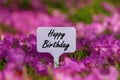 Happy Birthday quote. Royalty Free Stock Photo