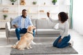 Happy black woman giving treat to her labrador Royalty Free Stock Photo