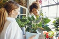 Happy black woman entrepreneur standing in plant store selling fresh flowers to client Royalty Free Stock Photo