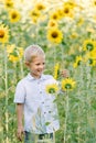 Happy blond boy in a shirt on sunflower field outdoors. Life style, summer time, real emotions Royalty Free Stock Photo