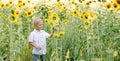 Happy blond boy in a shirt on sunflower field outdoors. Life style, summer time, real emotions Royalty Free Stock Photo