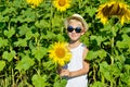 Happy blond boy in sun glasses and hat with sunflower on field looking at camera outdoors Royalty Free Stock Photo