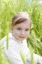 Happy blond little girl sit on green spikes meadow Royalty Free Stock Photo