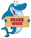 Happy Blue Shark Cartoon Mascot Character Holding A Wooden Sign With Text Shark Week Royalty Free Stock Photo