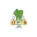 Happy bok choy cartoon character with two money bags