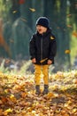 Happy boy with autumn leaves. The concept of childhood, family and kid. Simple happiness. Sweet childhood memories