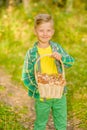 Happy boy with basket of mushrooms in autumn forest Royalty Free Stock Photo