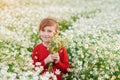 Happy boy with a bouquet of daisies in a field. Beautiful nature with flowers. Child having fun in flower field Royalty Free Stock Photo